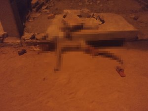 Irmão de mulher assassinada em triplo homicídio é morto pedradas no Agreste
