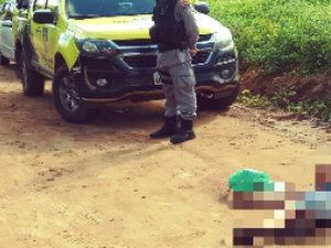 Acusado de crime em Arapiraca, está entre as vítimas nos dois homicídios em Palmeira dos Índios 