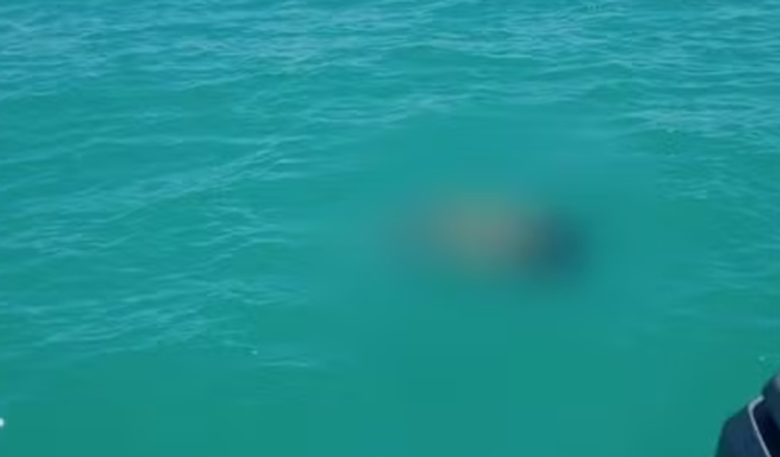 Corpo de criança desaparecida na Barra de Santo Antônio é encontrado em Ipioca