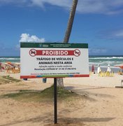 Prefeitura instala placas em praias para proteger desova de tartarugas