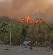 PM prende suspeito de provocar incêndio criminoso na Rota do Mar, em Maceió