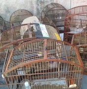 PF de SP faz operação contra tráfico de animais silvestres e prende um dos maiores traficantes do país