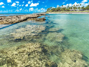 Seis praias estão impróprias para o banho no litoral norte; confira