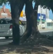 DMTT localiza motorista flagrado em ciclovia: saiba qual é o valor da multa
