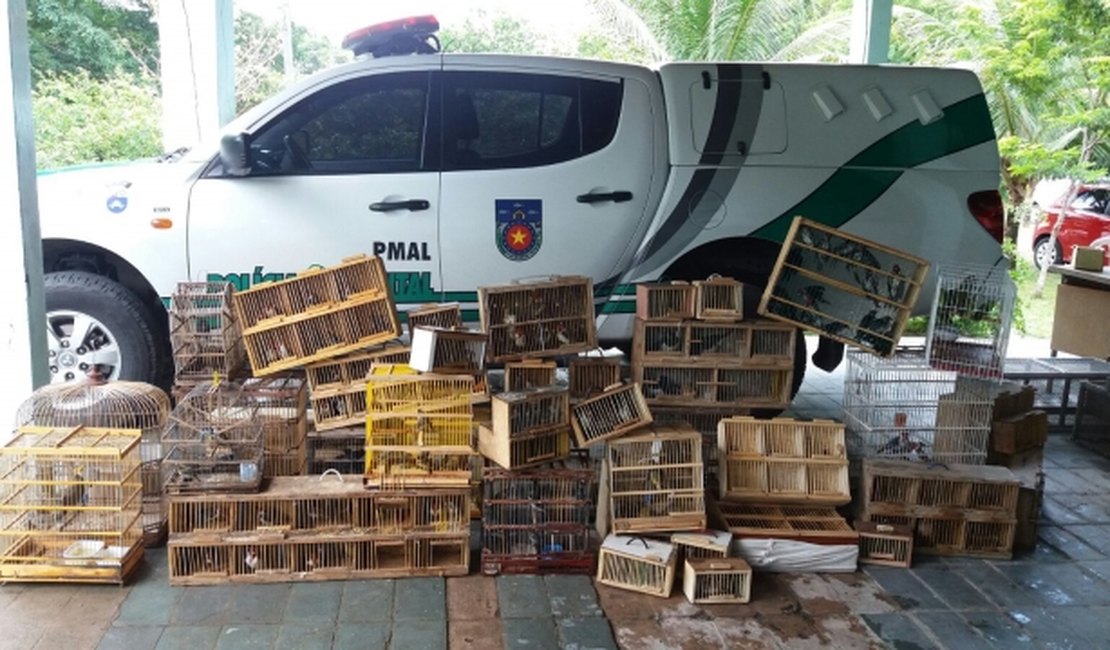 Operação resgata diversas aves silvestres em feira livre