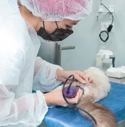 No segundo dia de atendimento, Castramóvel realiza procedimentos cirúrgicos de cães e gatos