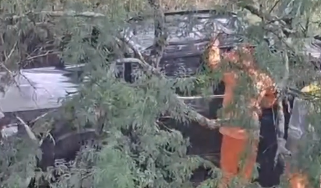 Motorista perde controle de caminhonete e cai em ribanceira na AL-220, em Batalha