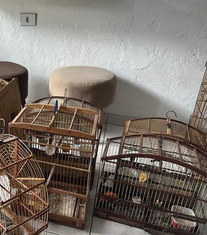 Polícia resgata 73 aves silvestres durante Operação Onda Verde em Alagoas
