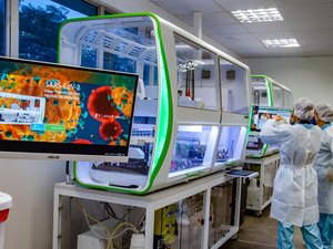 IBGE lança painel com dados de covid-19 por município