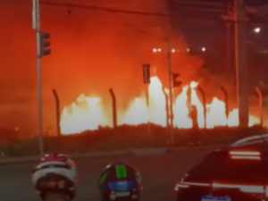 Focos de incêndio no Amazonas sobem 271% nos primeiros dias de outubro