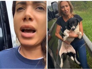 Anitta e Luísa Mell fazem resgate de cachorros abandonados