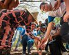 Arapiraca fortalece compromisso ambiental com mais de 57 mil árvores plantadas