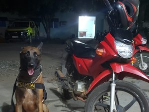 Moto com registro de roubo é abandonada na zona rural de Arapiraca