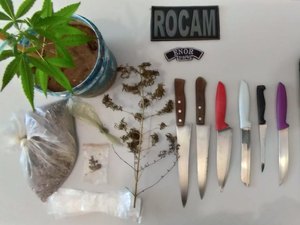  Mulher é presa com pé de maconha e armas em Arapiraca