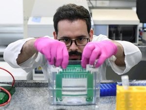 Especialistas criticam novo protocolo de hidroxicloroquina e cloroquina; veja a repercussão