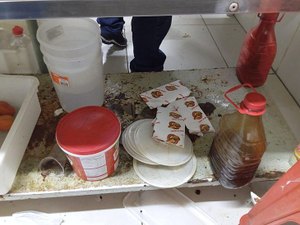 Sandubaria é interditada em Maceió após flagrante de infestação de baratas
