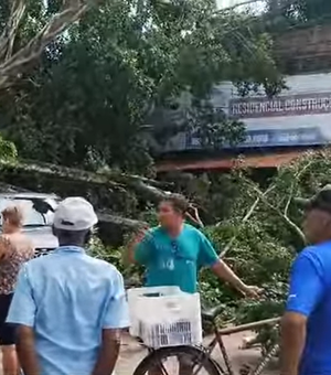 [Vídeo] Queda de árvore atinge veículo, loja e rede elétrica em Maceió