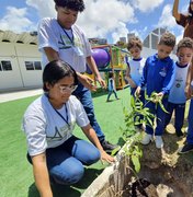 Autarquia de Limpeza Urbana promove ações sustentáveis em alusão à Semana da Árvore