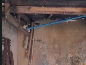 Aves silvestres são resgatadas pelo BPA durante fiscalização ambiental em Maceió