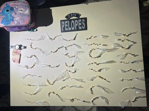 Dois adolescentes são apreendidos com 195 pedras de crack em Arapiraca