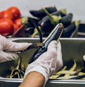 Metade dos municípios de AL não possui estrutura para política de segurança alimentar, revela IBGE