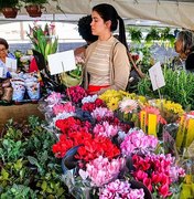 Maceió recebe a 15ª edição do Festival das Flores de Holambra nesta quinta-feira (2)