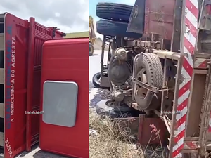 Caminhão carregado de bois tomba em ladeira na zona rural de Traipu