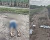 Polícia confirma que empresário morto em Coruripe tinha passado criminoso