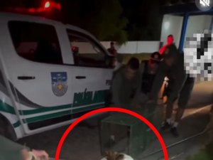 BPA resgata jacaré próximo a residências na Barra de Santo Antônio