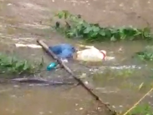 [Vídeo] Corpo boiando é encontrado no Rio Mundaú em Murici