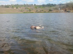 Identificado corpo encontrado em açude em São Sebastião