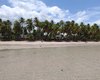 Maragogi: MPF investiga construção de muro de 400 metros na Praia da Bruna