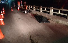 Jovem, que dirigia moto, morre após colidir com cavalo na Ponte da Antártica, em Porto Calvo