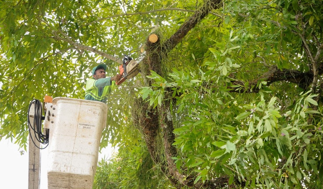 Poda de árvores no canteiro da Av. Dom Antônio Brandão será iniciada neste sábado