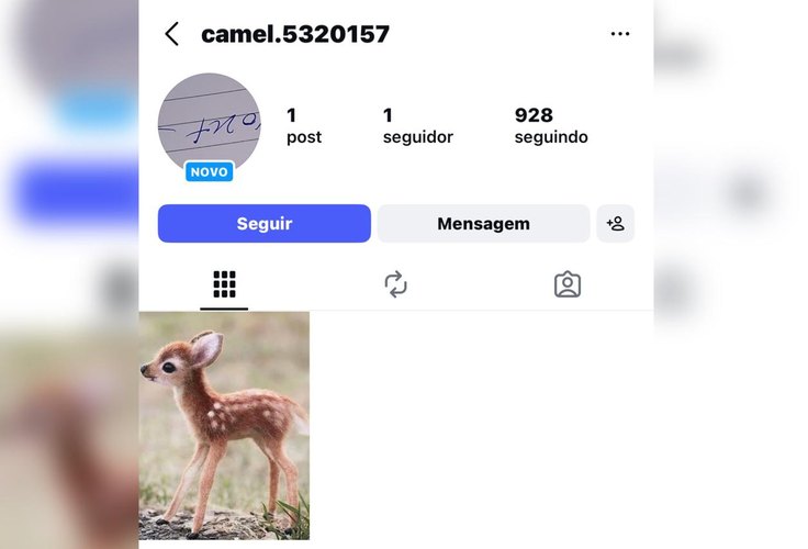 ‘Robôs comentaristas’ em postagens políticas na internet acendem alerta para engajamento artificial