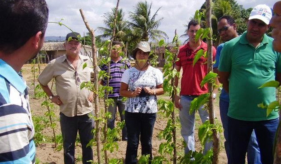 Palestra ensina técnicas de cultivo de inhame para horticultores