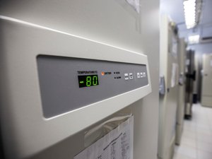 Ultracongeladores de universidades poderão ser usados para vacina; UFAL possui pelo menos cinco