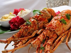 Festival da Lagosta de Maragogi atrai turistas para o Litoral Norte