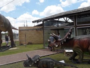 Salas do Museu da Biologia devem ser ocupadas em breve por professores do Município