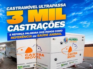Castramóvel ultrapassa três mil castrações de animais em Palmeira dos Índios