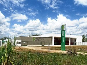 Curso gratuito do Ifal preparatório para concursos públicos abre inscrições