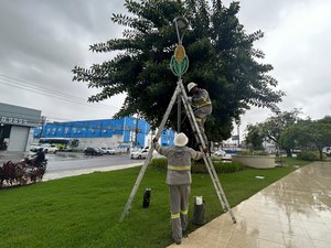 Prefeitura inicia montagem da Vila de São João no Parque do Centenário