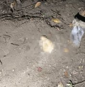 Corpo é encontrado enterrado em região de mata no bairro Santa Amélia