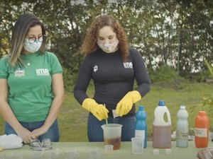 Mês do Meio Ambiente: oficinas virtuais incentivam educação ambiental em casa
