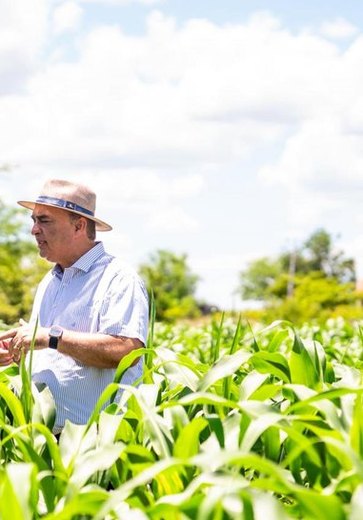 Garantia Safra beneficiará 587 agricultores de Palmeira com mais de R$ 700 mil