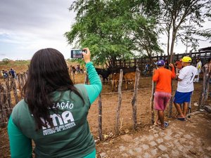 FPI interdita feira clandestina de animais em Piranhas