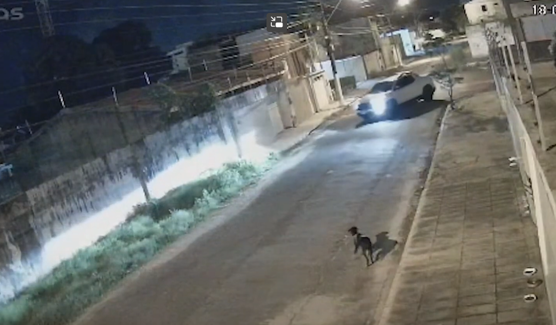 Câmera de segurança flagra motorista tentando atropelar cachorro