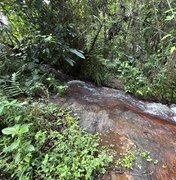 Rota do Cacau amplia ecoturismo e preservação ambiental em Matriz de Camaragibe