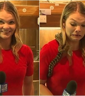 [Vídeo] Cobra ataca microfone de repórter na Austrália
