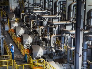 Cooperativa Agrícola do Vale do Satuba abre processo seletivo para safra 2021/2022